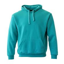 PENT PUBLIC CLOTHING ARTICLE 2099 ADULTS MEN'S BASIC PLAIN HOODIE